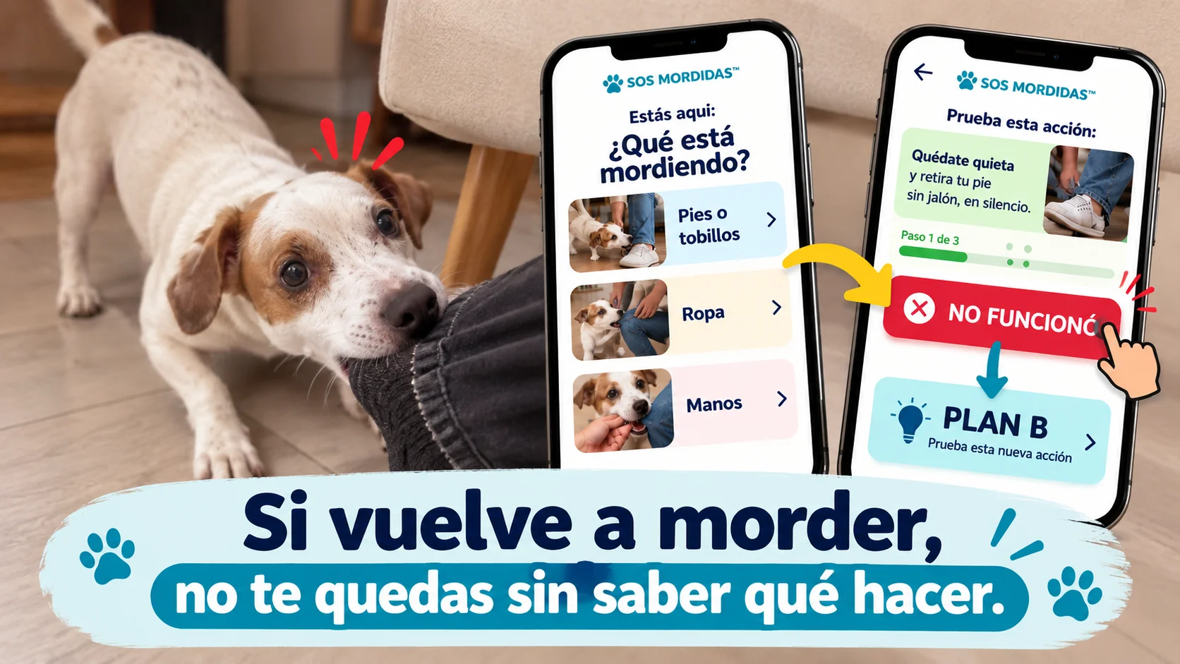 Demostración de SOS MORDIDAS™: qué hacer si vuelve a morder