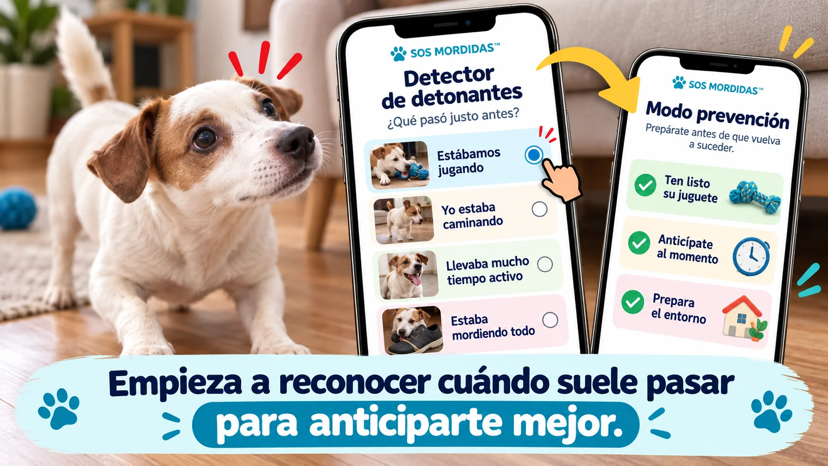 Demostración de SOS MORDIDAS™: detectar situaciones que se repiten